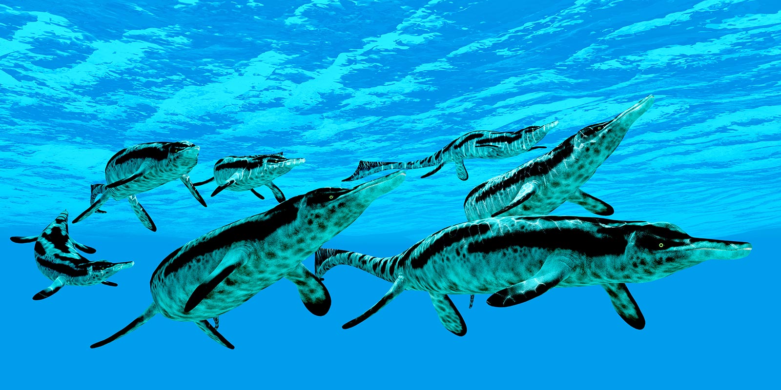 ichthyoszauruszok